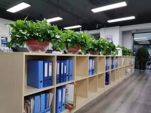 西安咸阳及周边地区公司注册与专业服务全解析 从工商注册到代理记账、审计、食品劳务派遣