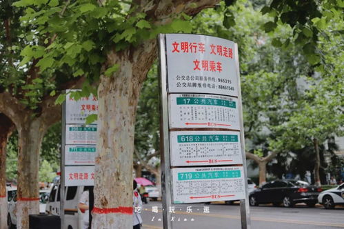 六十二载红旗飘 北郊国企巨擘的坚守与转型之路